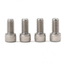 Stainless Steel Screw 1/4-20 x 1/2 in. Refill